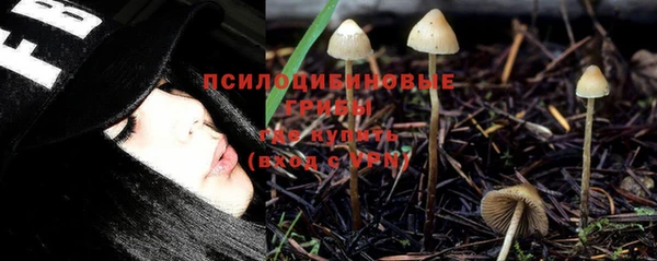 прущая мука Алексин